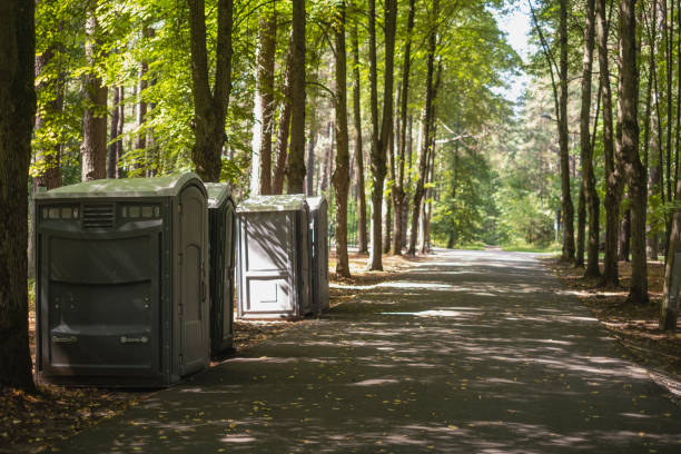 Best Affordable portable toilet rental  in Gilbert, MN
